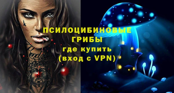 прущий лед Пестово